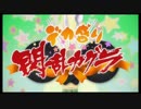 【デカ盛り 閃乱カグラ】PlayStation Vita