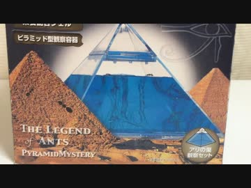 蟻戦争Ⅱ＃33 あの有名な「アリ伝説」をゲット。アリがゲルを掘る！編