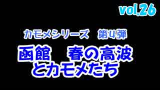 春の高波とカモメたち