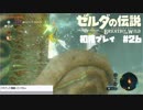 【完全初見実況】なんか攻略の仕方がちょっと違うゼルダBotW【その26】