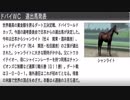 【ウイニングポスト８】トウカイテイオーの仔でＧⅠ勝利を目指す part70