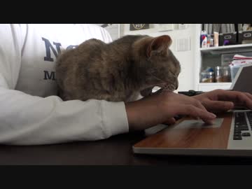 【モアクリ】 ネットをやめなさい！