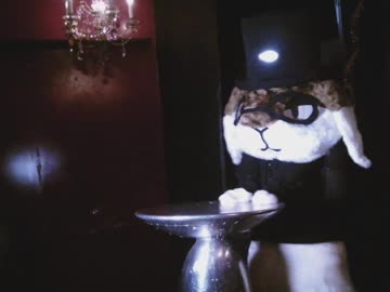 薄荷くんの写真撮影。(Mr.Hakka photographing)