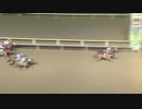 2018年6月18日船橋競馬8R ハートビートナイター記念(B1・B2) ハクサンベル