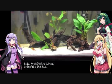 結月ゆかりとアクアリウム夜話　第8夜