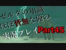【ゼルダの伝説ブレスオブザワイルド】ゼルダの伝説の知識ほぼ皆無な俺の実況プレイpart45【初見プレイ】