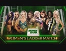 【WWE】女子MITB戦【MITB18】