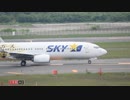 新千歳空港　SKY　タイガースジェットの離陸