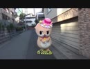 スケボーをバシって取るやつやりましたっ☆おおむね成功ですっ☆ ちぃたん☆ですっ☆