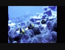 三浦大知”ふれあうだけで～Always with you～”を歌ってみた