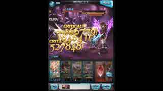 【グラブル】Primal Rage HELL（Lv.100）【光パ】