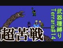 【装備共有テラリア】―超長い敵に超苦戦編― 初心者を連れ絶体絶命な縛りで世界侵攻　エキスパート#14【4人実況】