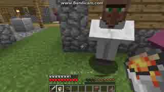 [第342日]マイクラ冒険記[Minecraft]