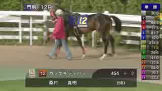 第46回北海優駿（ダービー）（イスラボニータ賞） パドック～本馬場入場