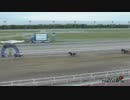 2018年6月20日門別競馬7R アルビレオ特別(JRA500万下・A2) パイオニアゴールド