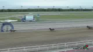 2018年6月20日門別競馬7R アルビレオ特別(JRA500万下・A2) パイオニアゴールド