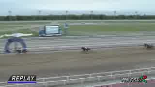 2018年6月20日門別競馬7R アルビレオ特別(JRA500万下・A2) レース回顧