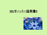 web戦略　～SSLサーバー証明書2～