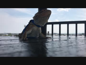 散歩の休憩（高台にて）