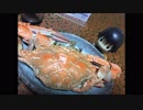 fhanaのライブに行く道中の動画2018【いんとろだくしょん】