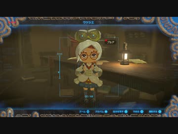 厄災かけますね.botw7