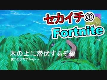 【fortnite】世界ランク１位がフルボッコ【実況】part2