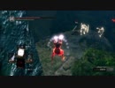 【ダークソウルリマスター】バカでも勝てる侵入その４【DARK SOULS REMASTERED】