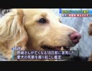 “紀州のドン・ファン”の愛犬からは覚醒剤成分検出されず