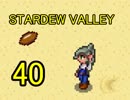 頑張る社会人のための【STARDEW VALLEY】プレイ動画40回