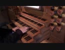 【 J.S.バッハ-パイプオルガン】われら悩みの極みにありて BWV641 【古楽-バロック】オルガン-冨田一樹