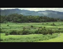 庚申堂