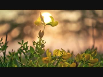 【ニコカラ】 HYDE / evergreen-Piano＆Strings Ver.- 【On Vocal】