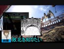 【MHW】ゆるハン△【フリークエスト】Part8