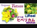 【折り紙】ヒペリカム（花）つくってみた★