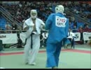 Kー1に出場した加藤久輝選手の空道ワールドカップ出場時の映像