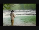 【癒し】渓流のせせらぎと野鳥のさえずり（睡眠用BGM・作業用BGM）
