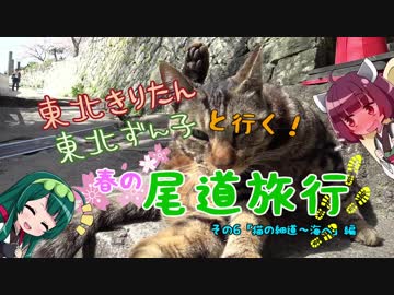 【東北きりたん】きりたん＆ずん子と行く！春の尾道旅行 その6「猫の細道～海へ」編【東北ずん子】