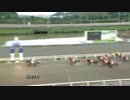2018年6月23日高知競馬7R 飯よりおにーく協賛 すごくやったです特別(C2-4組) ワンダラーズ