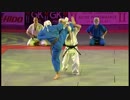 空道2010年フランスでの演舞Kudo France Bercy 2010