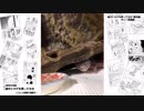 【レオパ】サニーくんのお食事風景