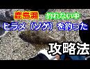 【茨城海釣り】鹿島灘ヘッドランドヒラメ（ソゲ）【攻略解説有】】