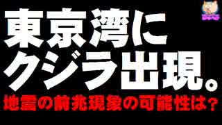 東京湾にクジラ - 地震の前兆現象の可能性は？