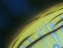 遠い昔の遠い星の物語　１－９