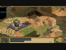 【AoE2】インド14分即らくだ