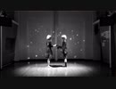 【NieR Automata】踊ってみた【2B＆9S】