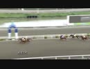 2018年6月24日高知競馬5R お遊戯会協賛 川竹裕哉京子結婚特別(C2-8組) キンショータイム