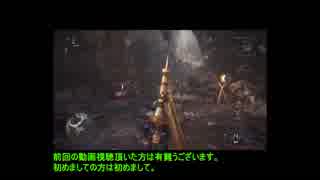 【MHW】静寂の帳 槍 ソロ  11:38.71【武器だけ】