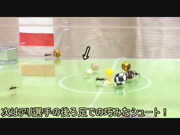 蟻戦争Ⅱ＃37 アリがサッカー！ポーランド戦のスコアをアリに予想させてみた！編