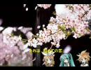 初音ミク、鏡音リン・レンが歌うかぐや姫の「加茂の流れに」