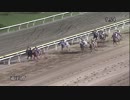 2018年　第41回 帝王賞（JpnⅠ）【ゴールドドリーム】